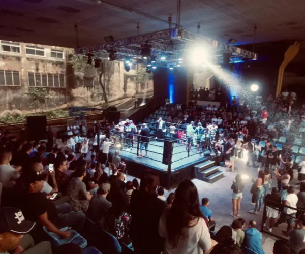 complexo9-associacao-gibi-thai-gibithai